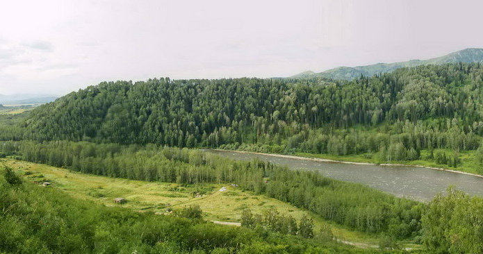 Подарки в аренду